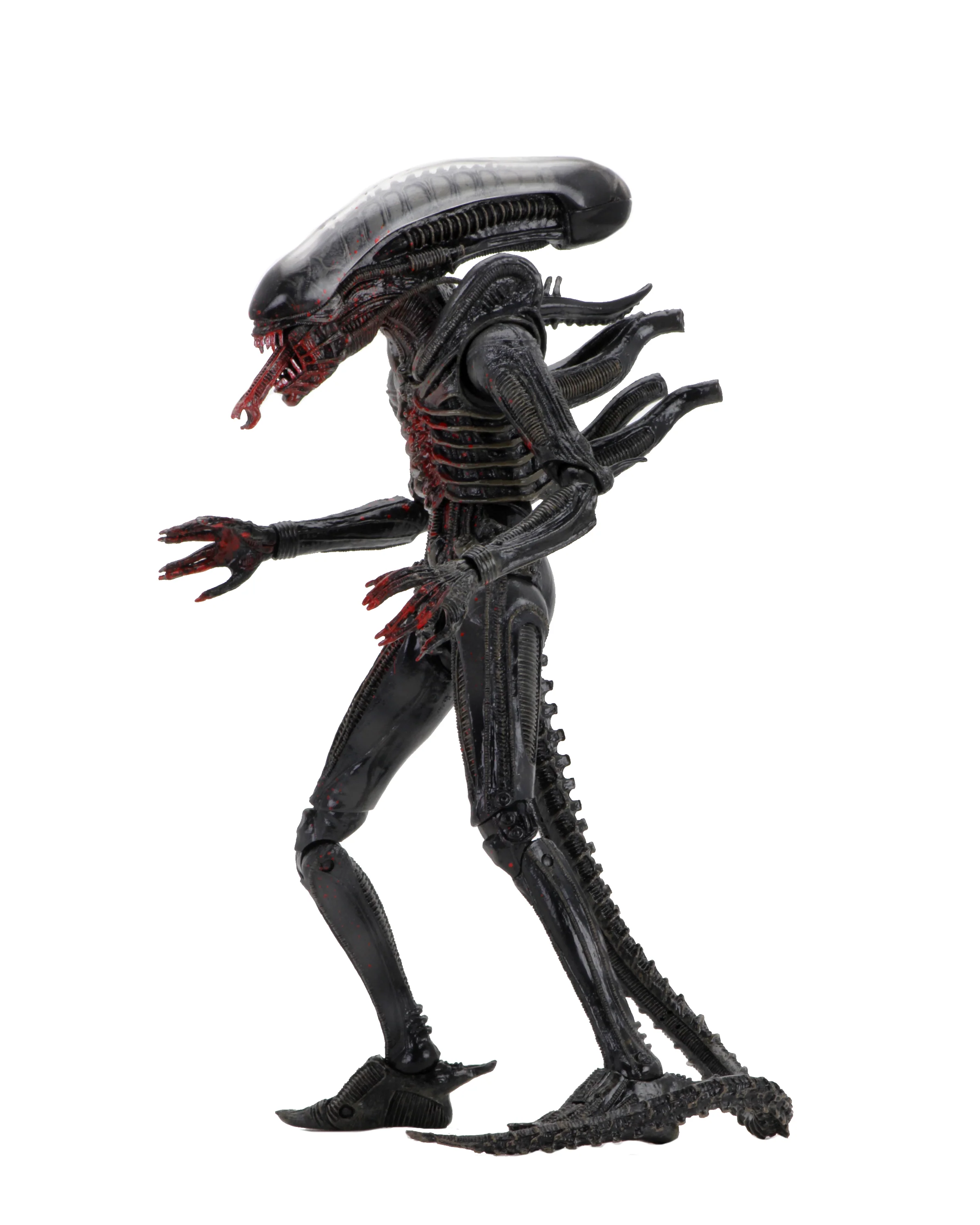 Alien - 40th Anniversary Asst 2 Xenomorph (Bloody) 7" Scale Action Figure - Image 5
