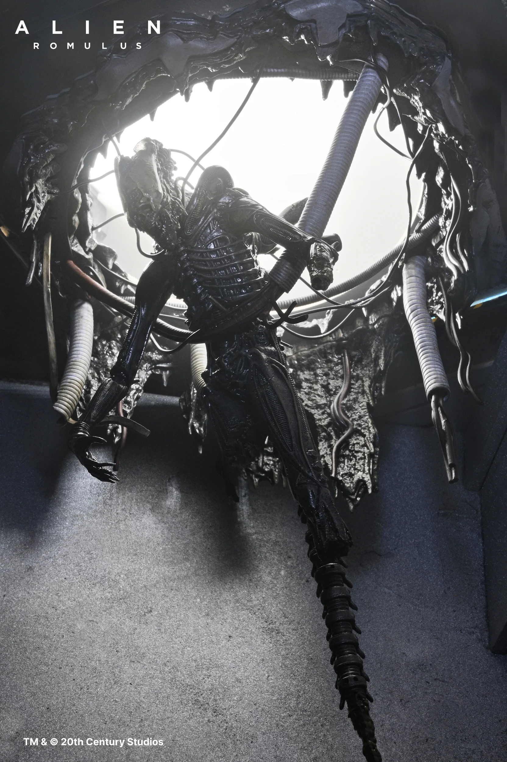 Alien: Romulus - Deluxe Suspended Lab Xenomorph XX121 7" Scale Action Figure - Image 3