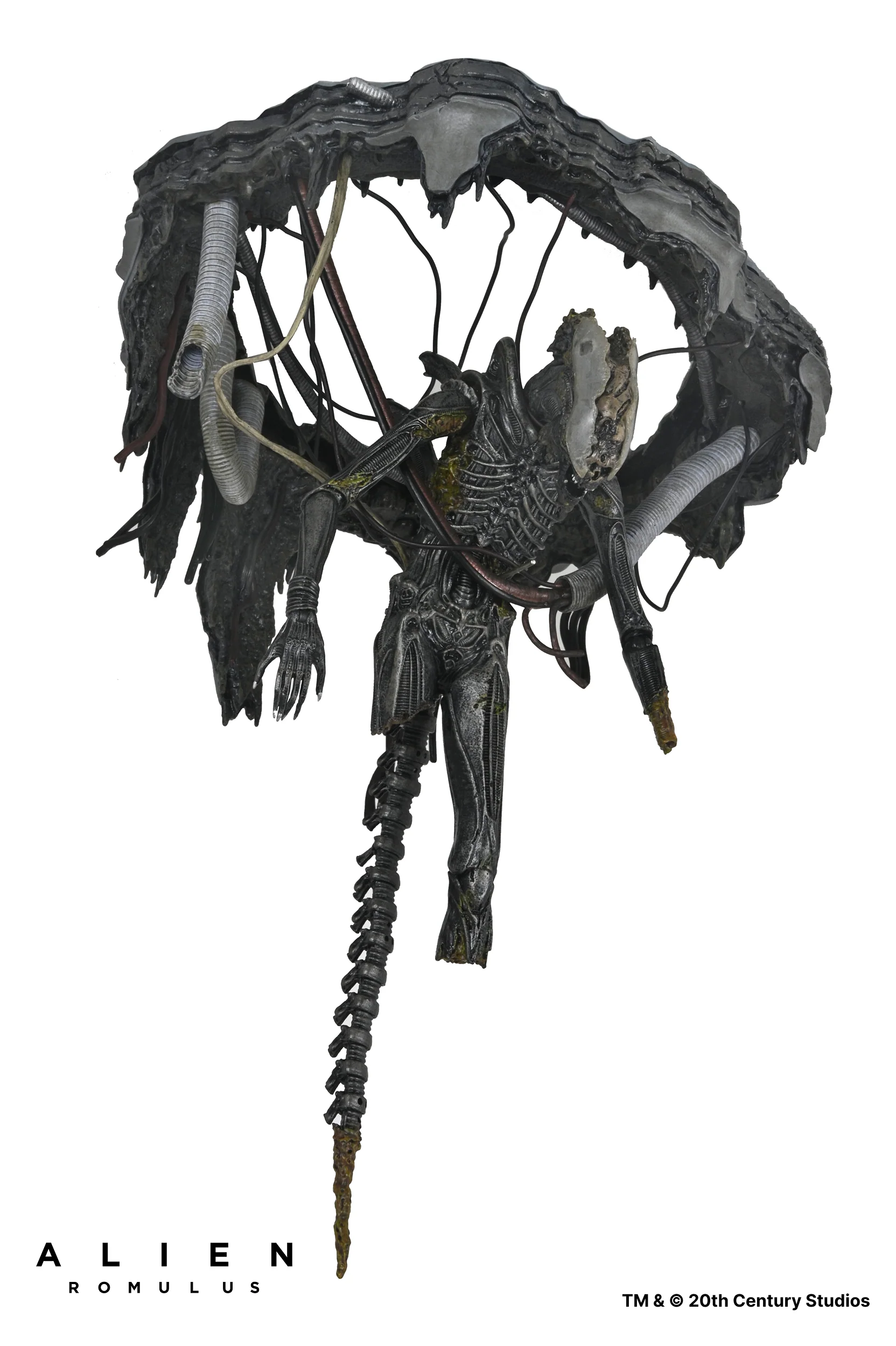 Alien: Romulus - Deluxe Suspended Lab Xenomorph XX121 7" Scale Action Figure - Image 7