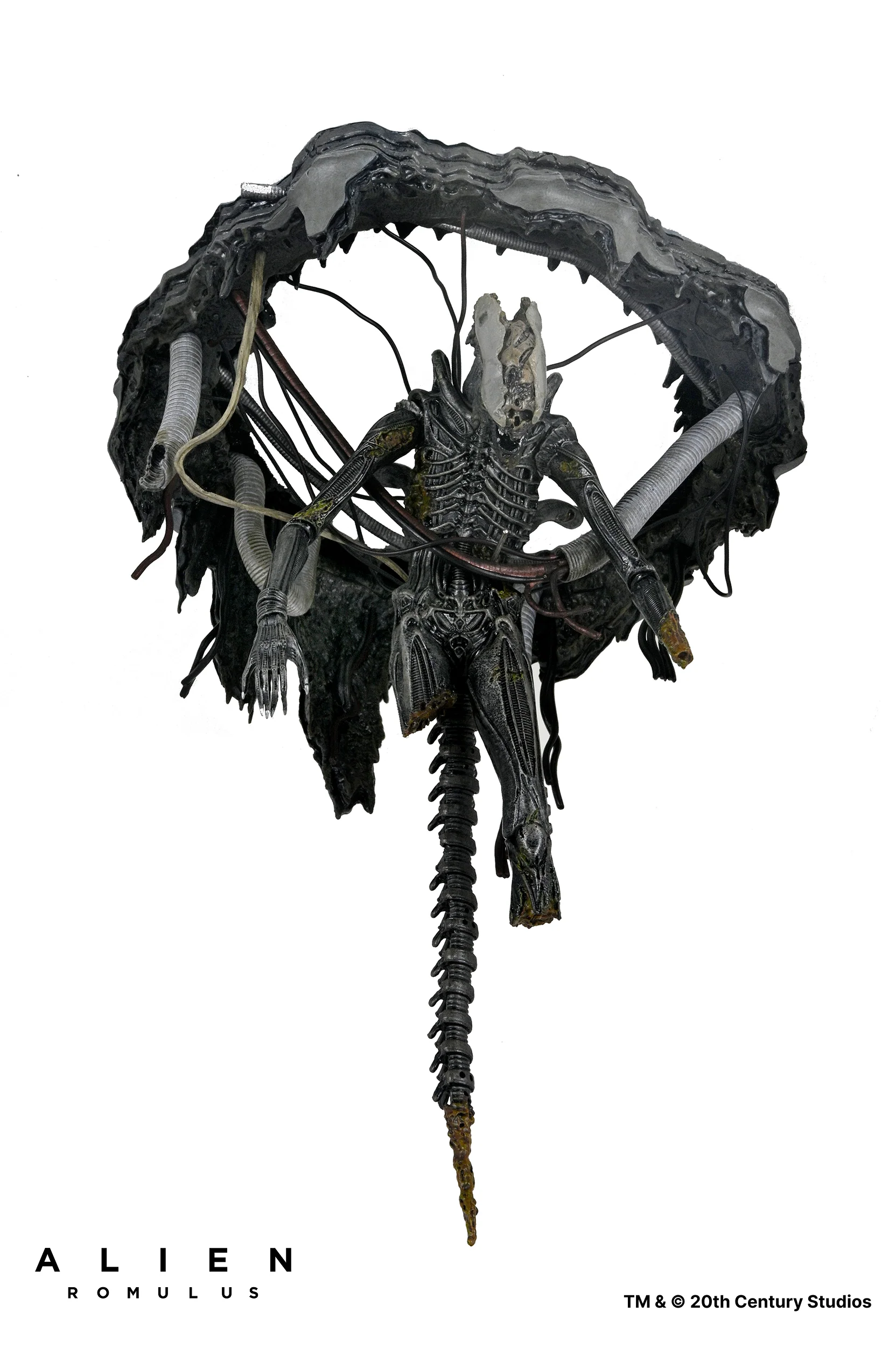 Alien: Romulus - Deluxe Suspended Lab Xenomorph XX121 7" Scale Action Figure - Image 8