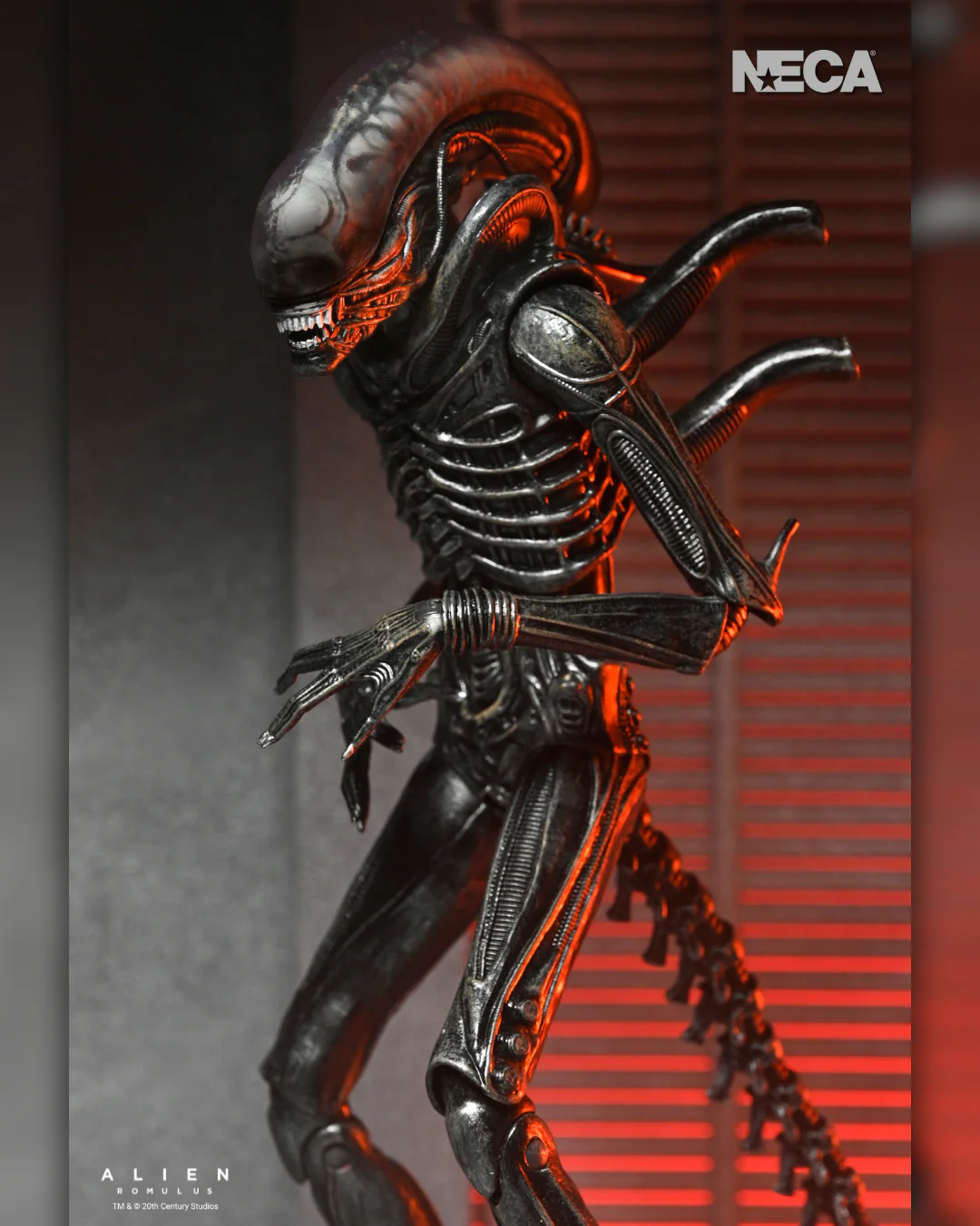 Alien: Romulus - Ultimate Xenomorph XX121 7" Scale Action Figure - Image 5