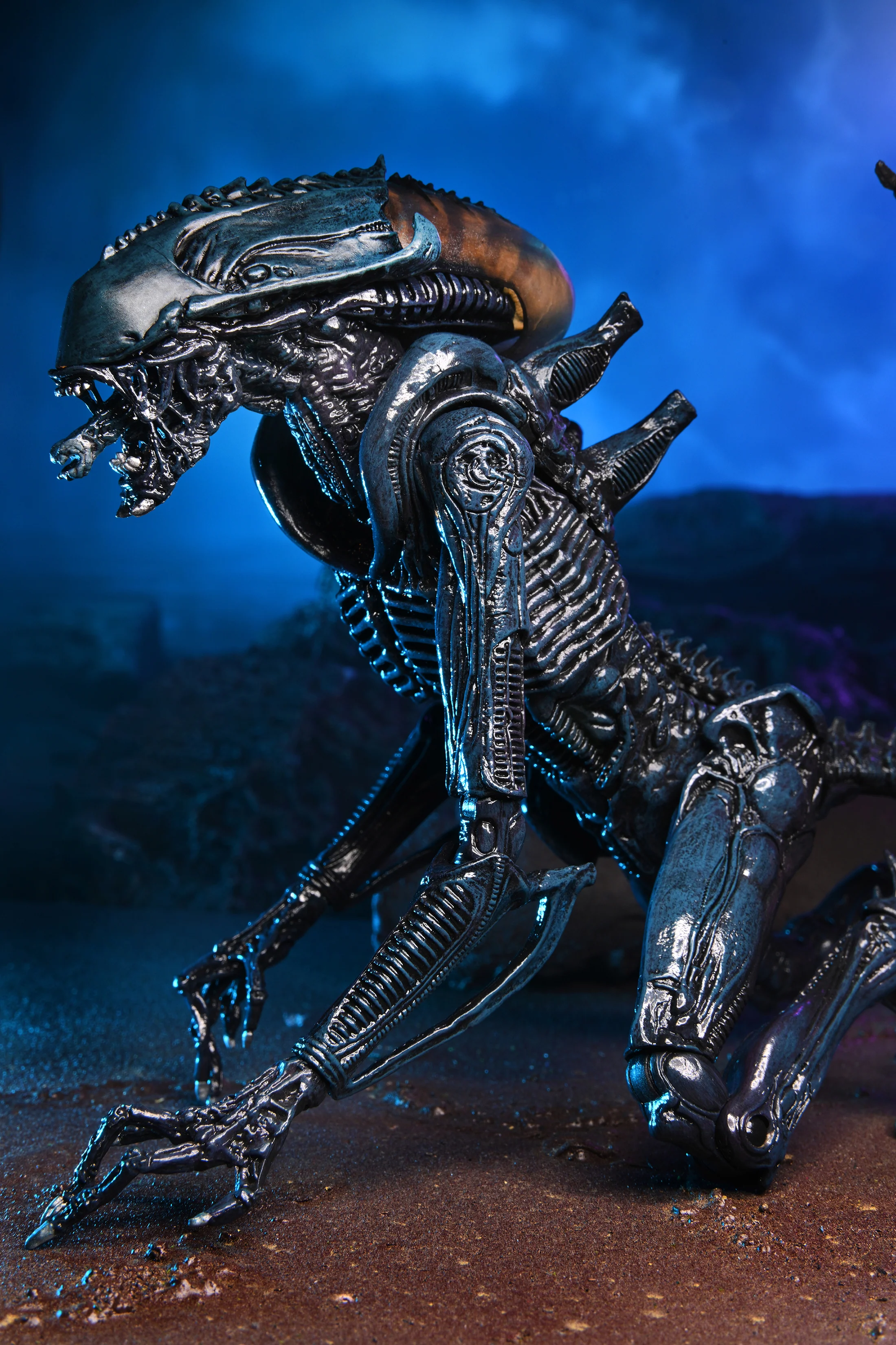 Alien vs Predator - Arachnoid Alien 7" Scale Action Figure (Movie Deco) - Image 3