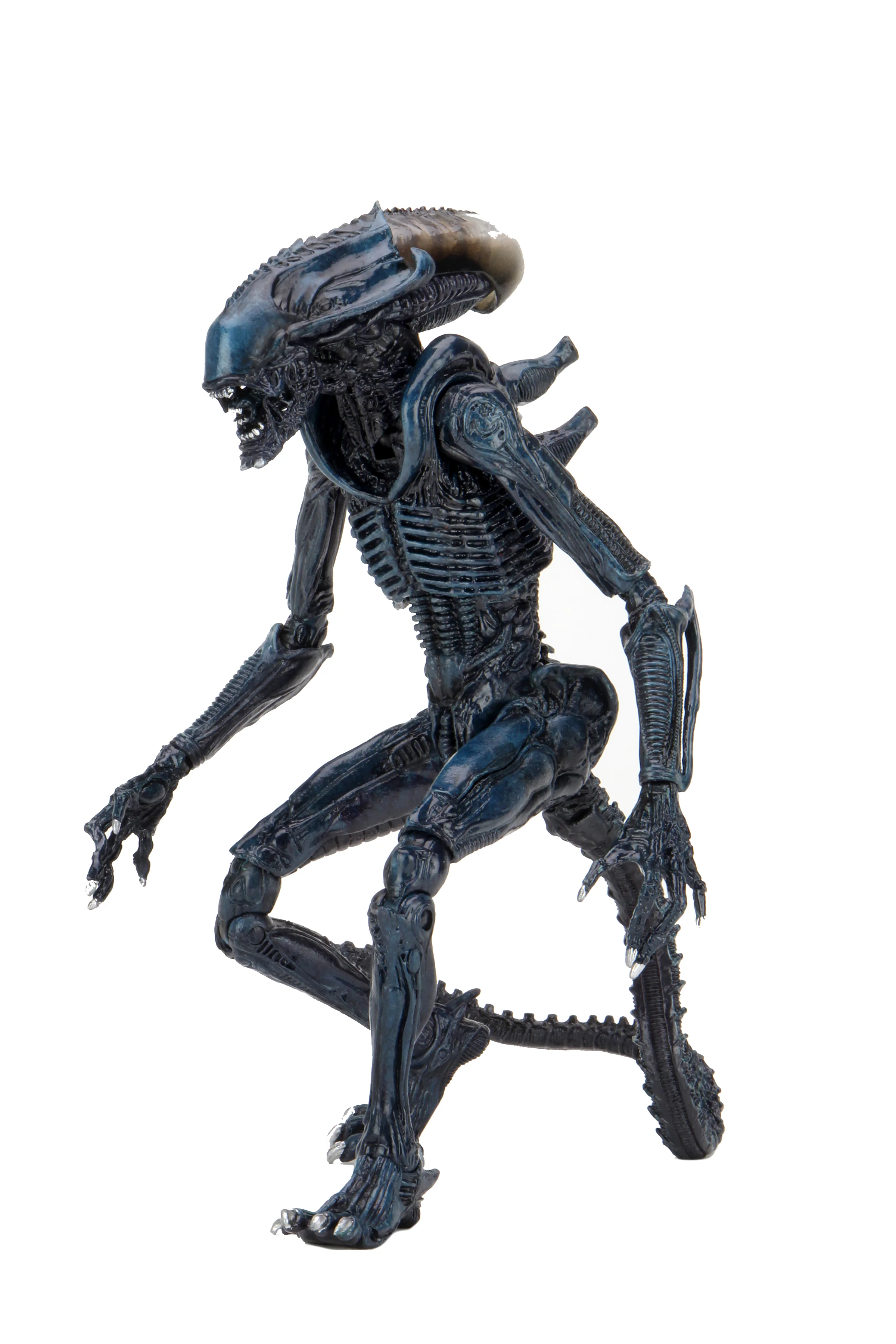 Alien vs Predator - Arachnoid Alien 7" Scale Action Figure (Movie Deco) - Image 6