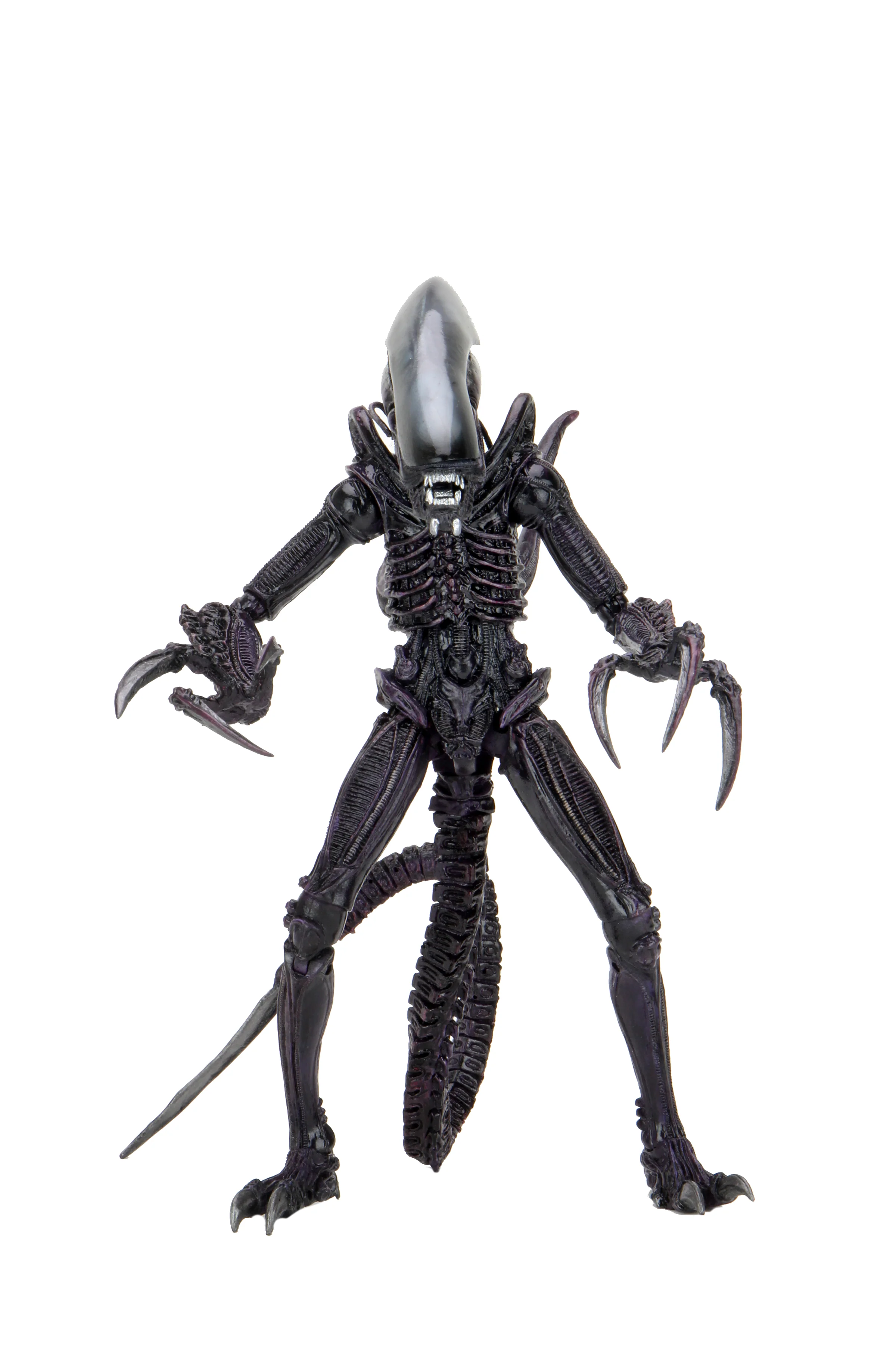 Alien vs Predator - Razor Claws Alien (Movie Deco) 7" Scale Action Figure - Image 4