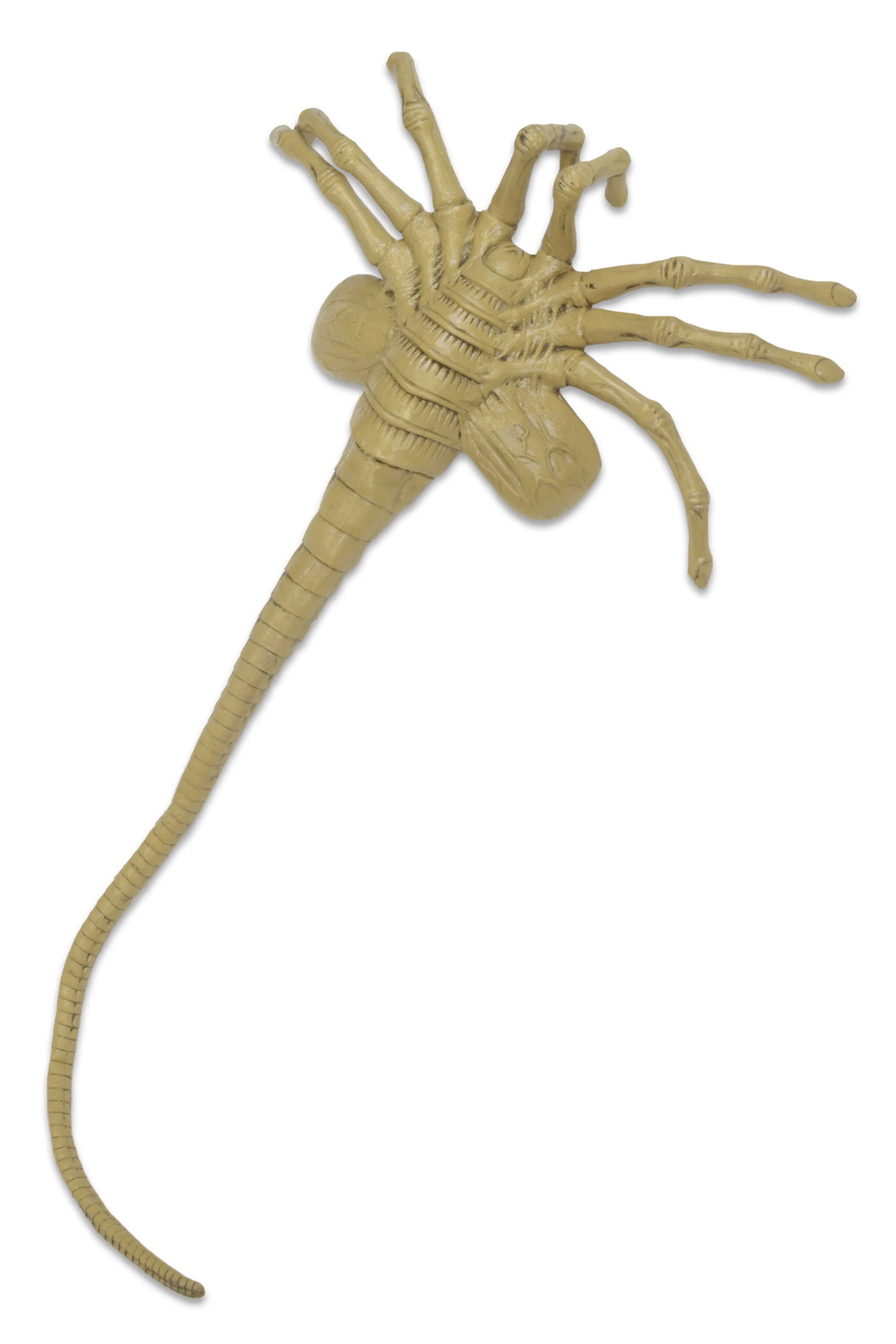 Aliens - Xenomorph Egg Life-Size Replica with LED Lights - Image 15
